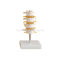 /msite/products/detail/productid/14015003/id/186332.html